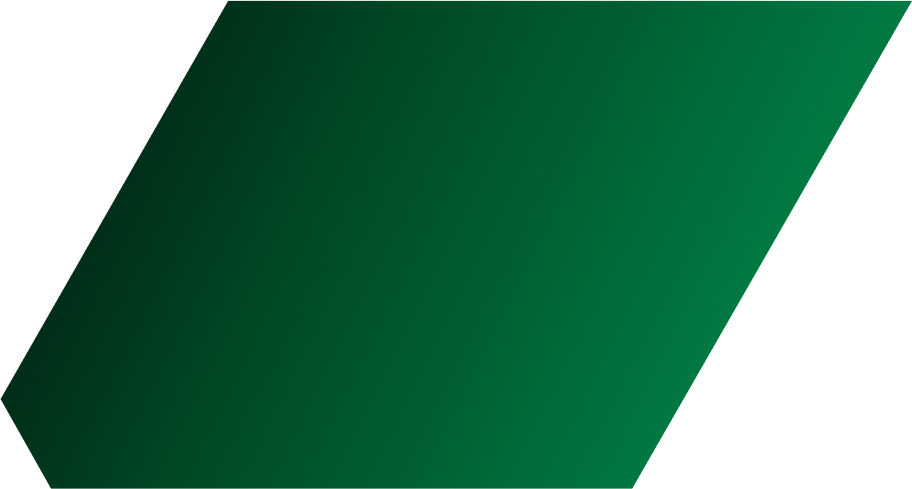 Vector 7