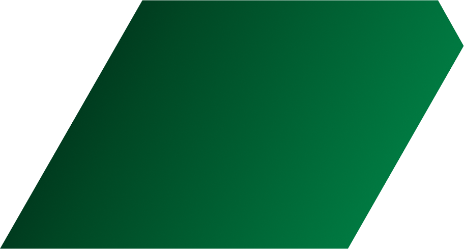 Vector 8-1